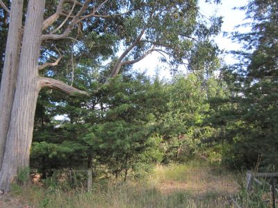 Lot 1 Lanes Road, Glen Huon