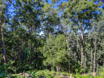 31 Kirbys Rd, Palmwoods