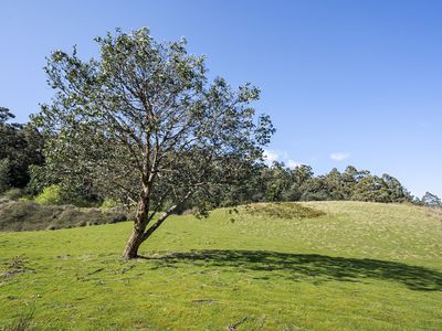126 Castle Forbes Road, Castle Forbes Bay