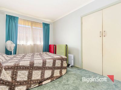 43 Hibiscus Road, Blackburn North