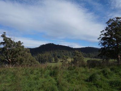 Lot 1 Kalonga Road, Nicholls Rivulet