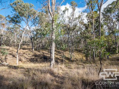 13 Bluff River Road, Tenterfield