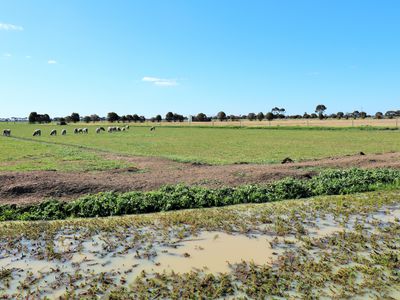 1751 Kerang-Murrabit Road, Kerang