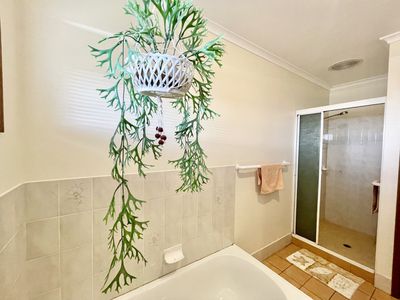 9 Vanda Street, Urangan