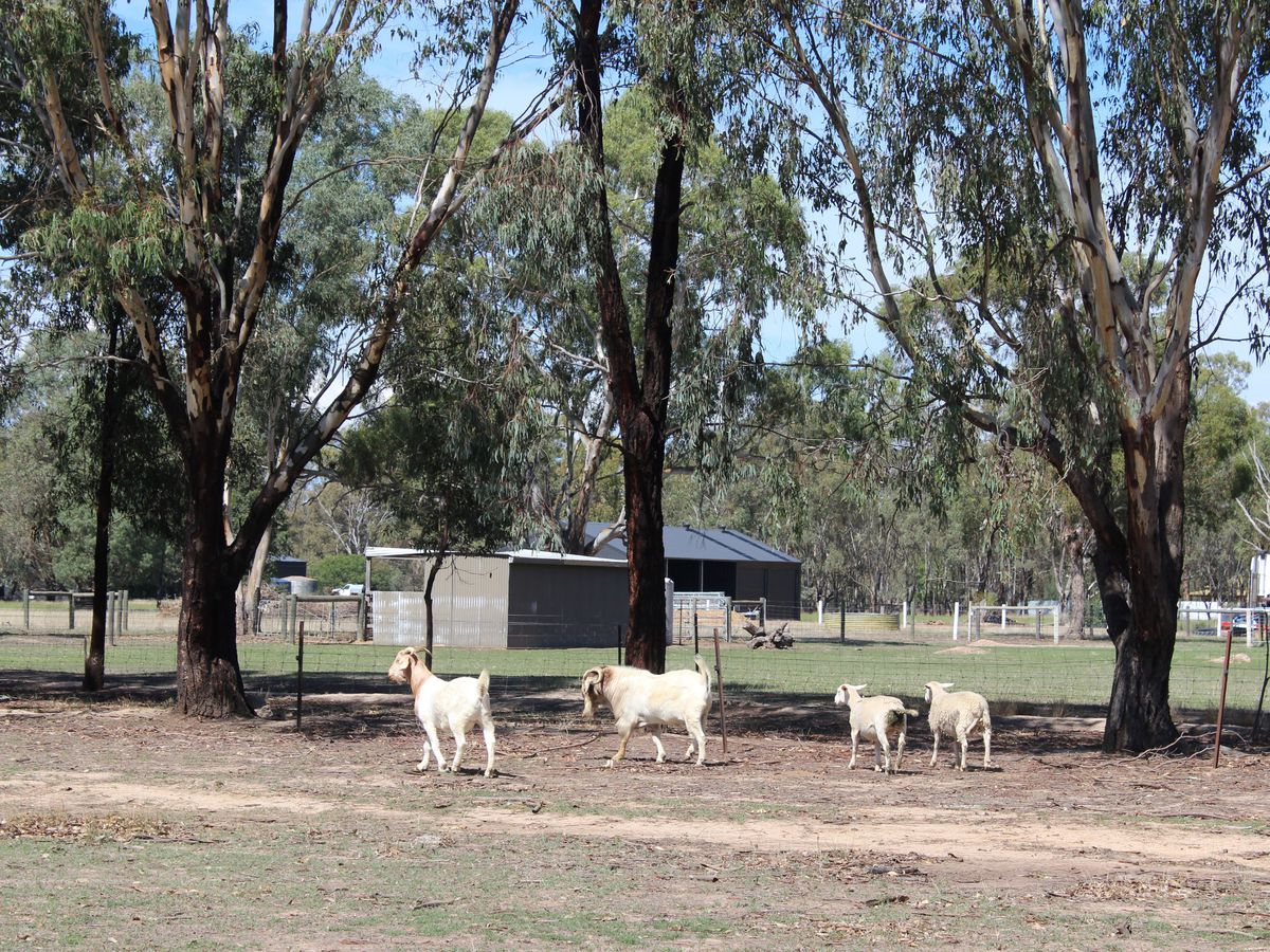 450 Four Mile Road, Benalla
