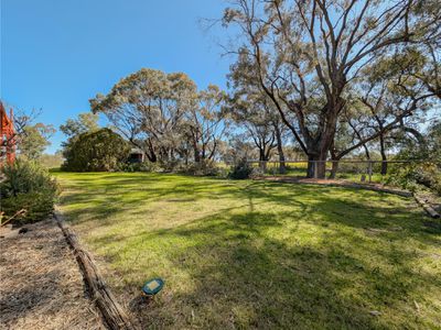 207 Dip Road, Wandella