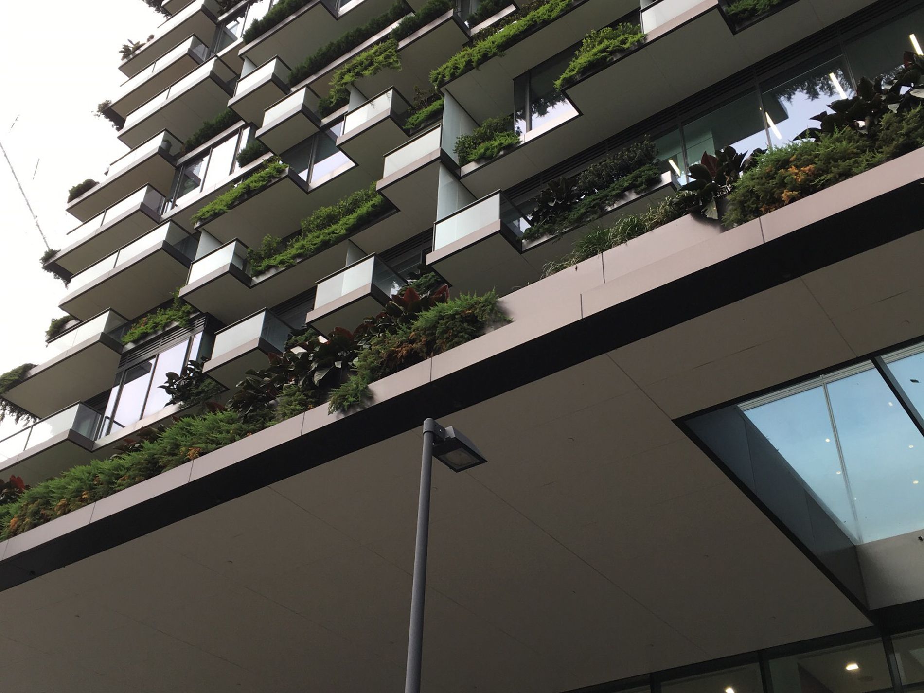 W1515.1 / 2 Chippendale Way, Chippendale