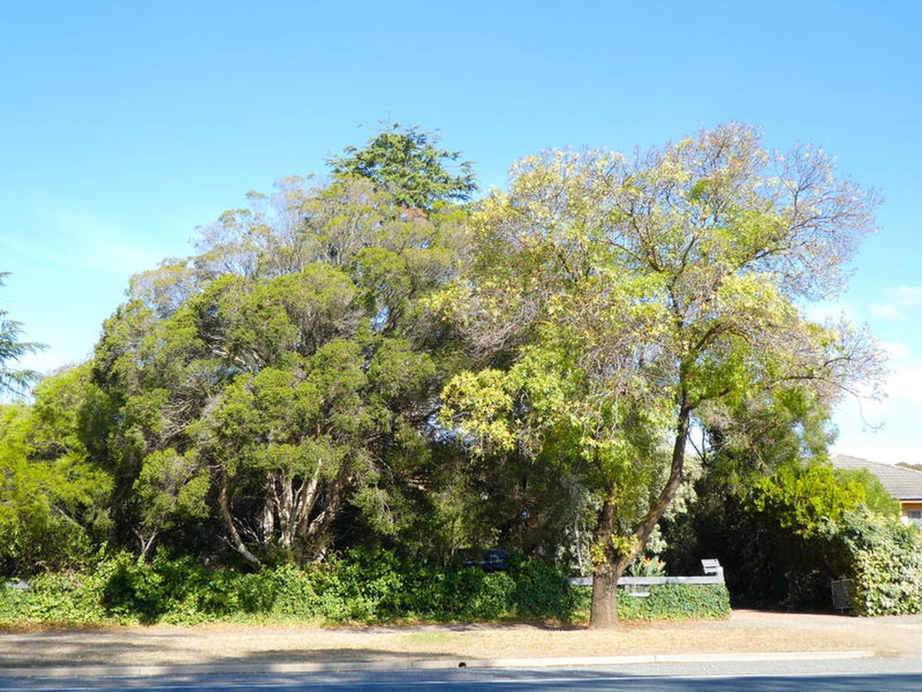 19 Rushworth Rd, Murchison