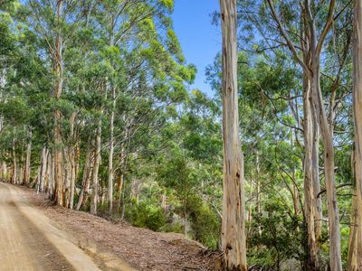 Lot1, Devlyns Road, Birchs Bay