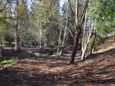 Fiddleback Drive, Tawonga South