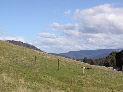 282 Judds Creek Road, Judbury