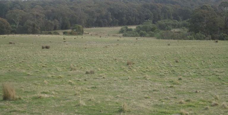 Bonnie Doon Road, Strathbogie