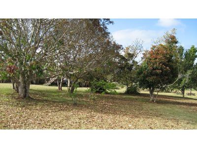 45 Curtain Fig Tree Road, Yungaburra
