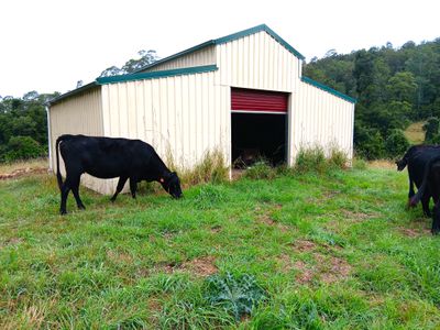 Lot 94, 2667 Pappinbarra Road, Pappinbarra