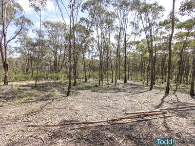 21 Bonneys Lane, Heathcote