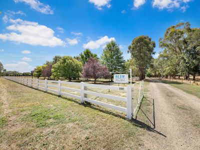 1047 Great Alpine Road, Tarrawingee