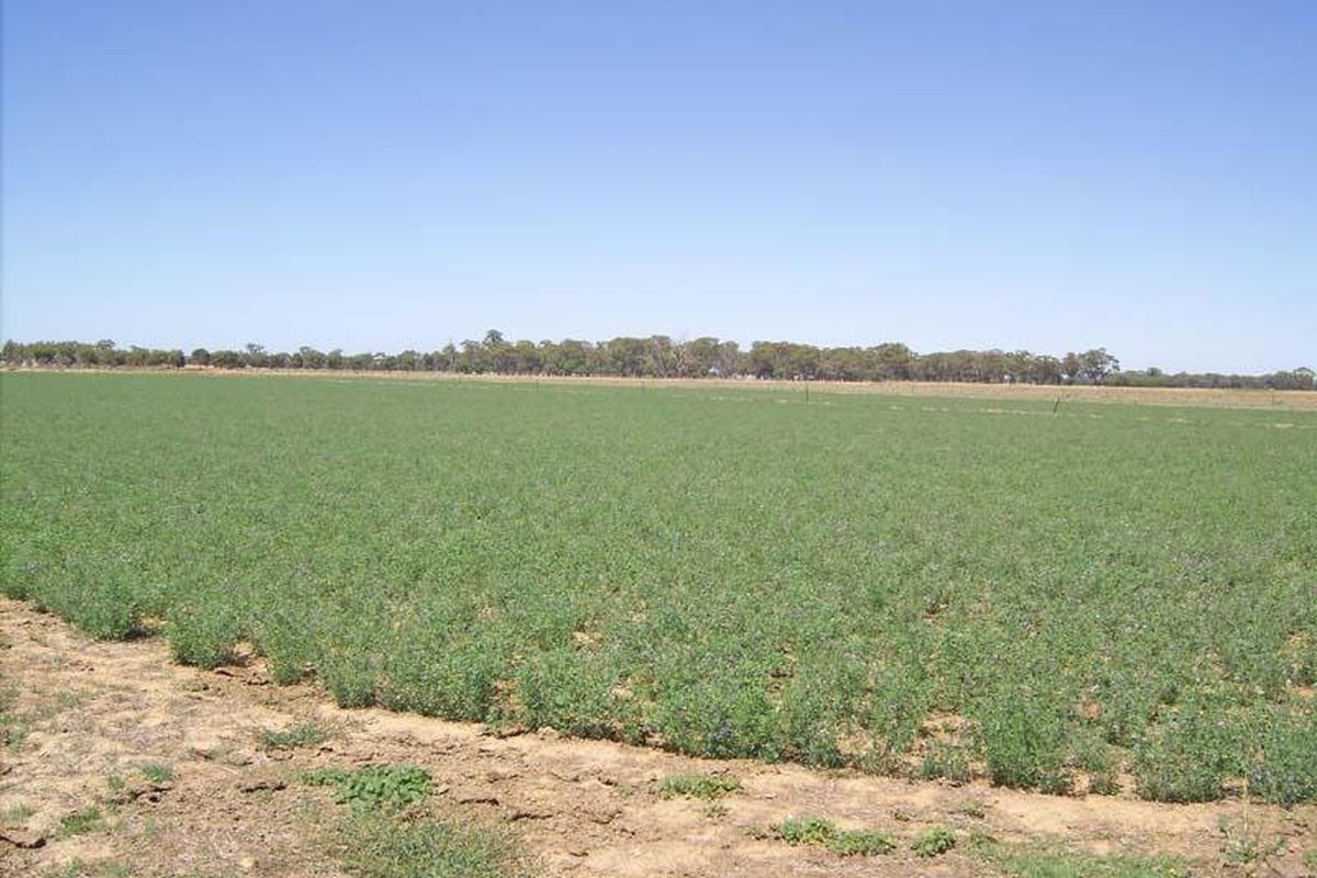 1845 Manley Road, Merrigum