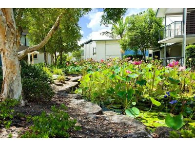 131 / 73 Hilton Terrace, Noosaville