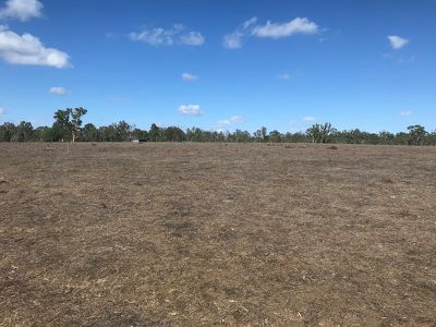 439 East Barham Road, Barham