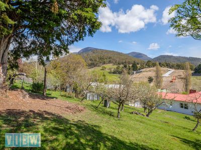18 Brushy Creek Road, Lenah Valley