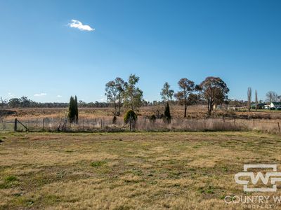 50 Severn River Road, Dundee