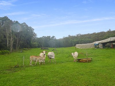 1888 TUMOULIN ROAD, Ravenshoe