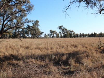 Lot 11, Moulamein