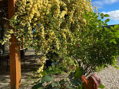 'Rose Cottage' 75 Lawrie Road, Beechworth