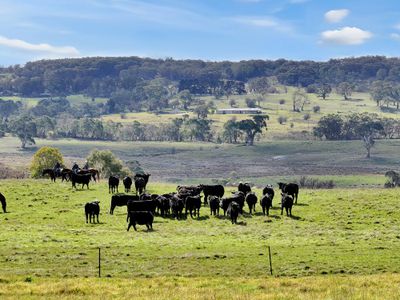 67 Tates Lane, Braidwood