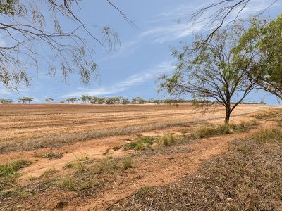 9606 Cunderdin - Quairading Road, Cunderdin