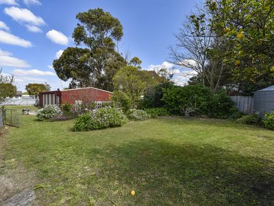 105 Williams Road, Millicent