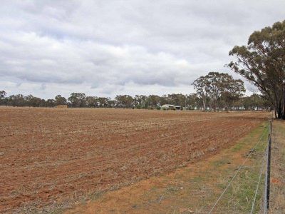 2125 Elmore-Raywood Road, Kamarooka