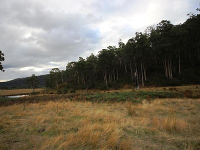26 Acres Off Abbots Road, Nicholls Rivulet