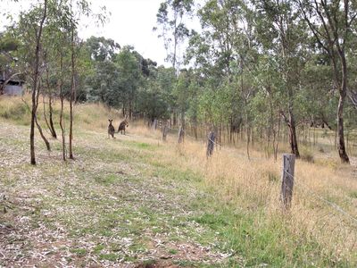 Lot 10, Warren Road, Heathcote