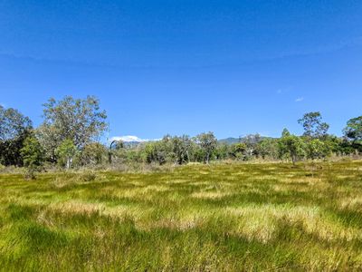 556 Mount Amos Road, Cooktown