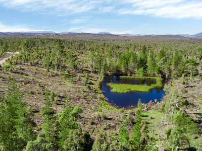 464 Tally Ho, Braidwood