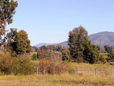 Lot 12 Hillandale Court, Bonegilla