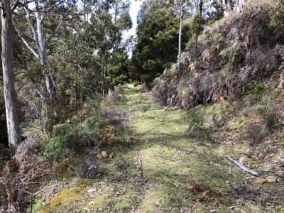 Lot 4, Lightwood Creek Road, Glen Huon