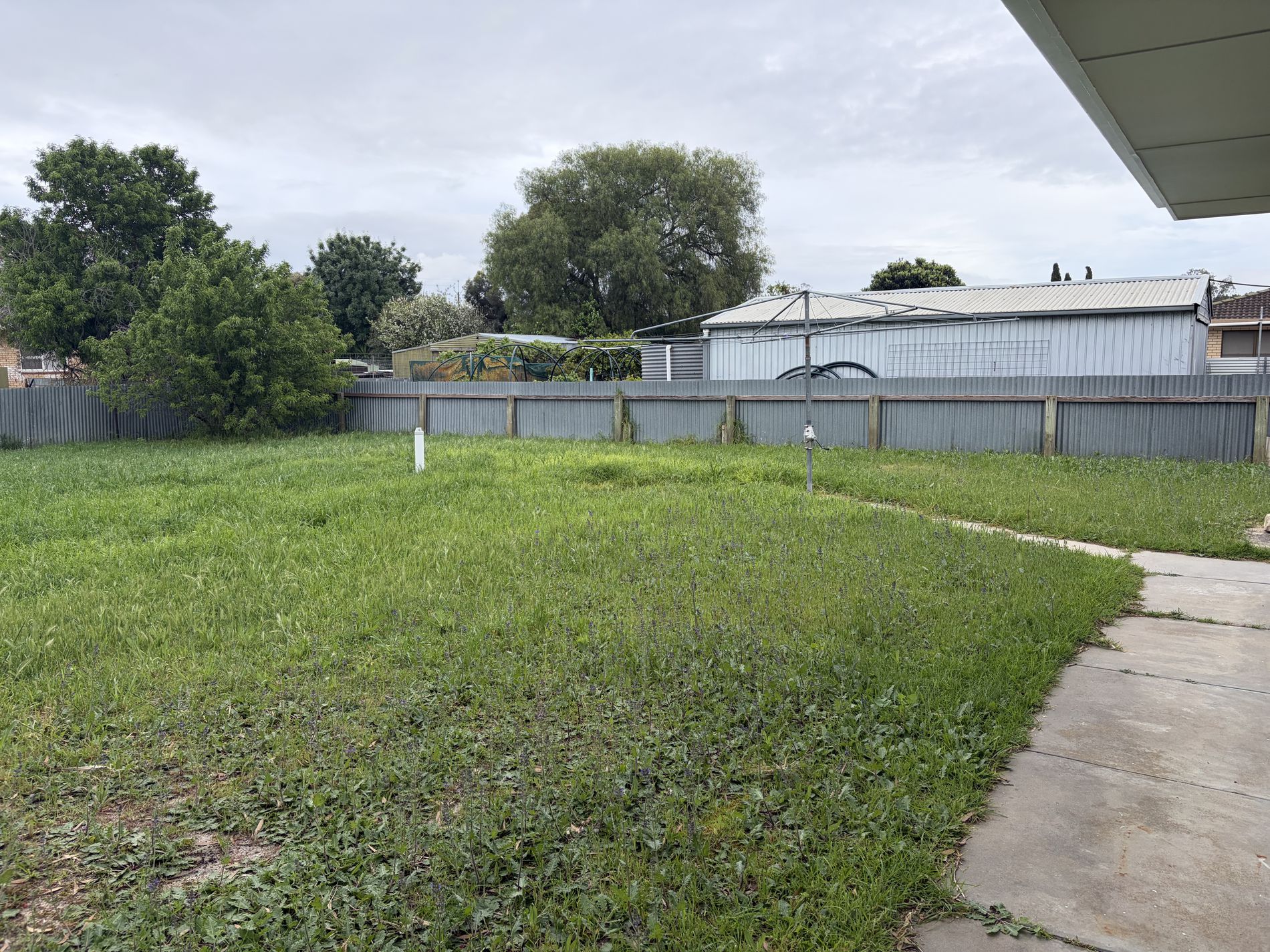 46 Paynter Terrace, Coonalpyn