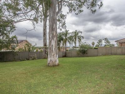 8 Waterfall Cres, Cranebrook