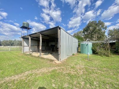 61 Forest Lane, Markwood