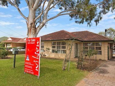 6 Don Terrace, Morphettville