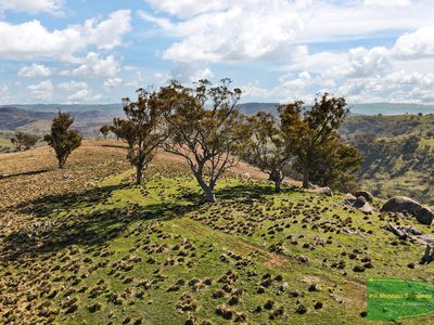 728 The Bridle Track, Duramana