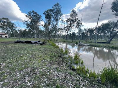 Wattle Camp