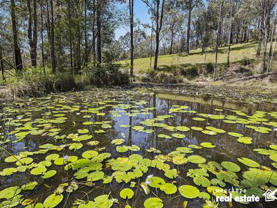 3815 Oxley Highway, Hyndmans Creek via, Wauchope