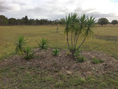 3 Kinkuna Drive, Woodgate
