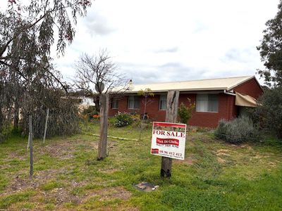 7 Gnowing Street, Wandering