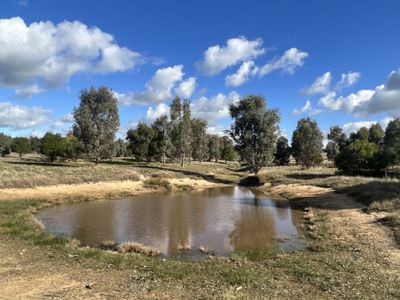 309B Moss Smith Road, Eden Valley