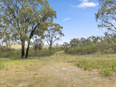 110 Bassett Lane, Hilldene