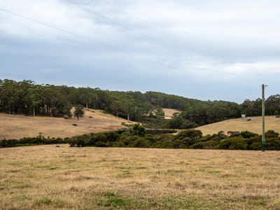 202 Dingo Flat Road, Tingledale